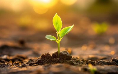 Cultivating a Mindset of Financial Growth