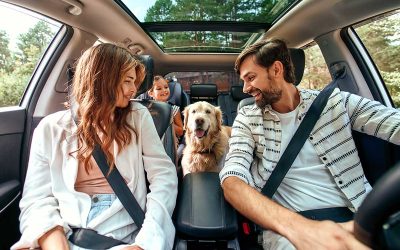 Financial Planning: Your Personal GPS to Financial Clarity